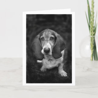 Tarjeta mocca el basset