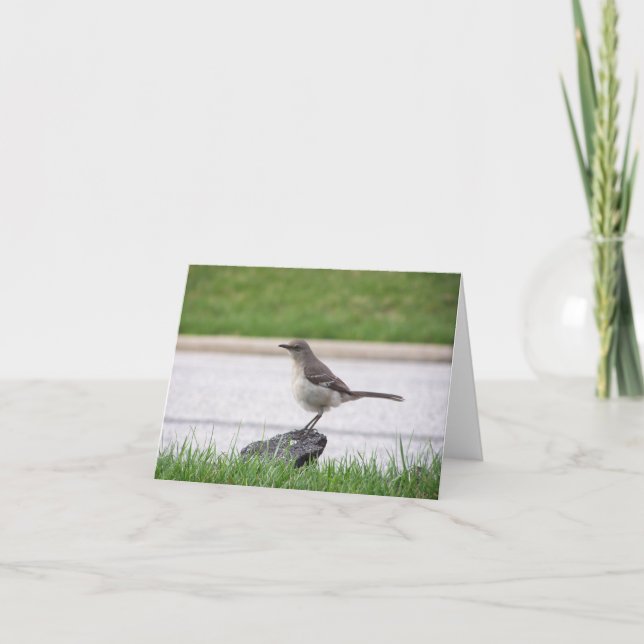 Tarjeta Mockingbird (Anverso)