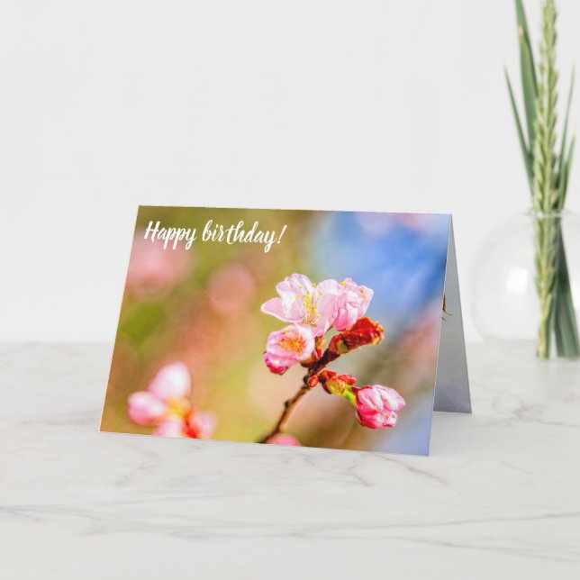 Tarjeta Moda De Flores De Sakura Rosadas En Un Soleado Día (Anverso)
