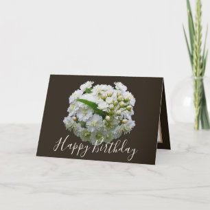Tarjeta Moda floral Bouquet White Spirea Cumpleaños floral