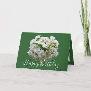Tarjeta Moda floral Bouquet White Spirea Cumpleaños floral