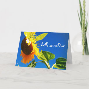 Tarjeta Moda moderna girasol amarillo saludo guión sol