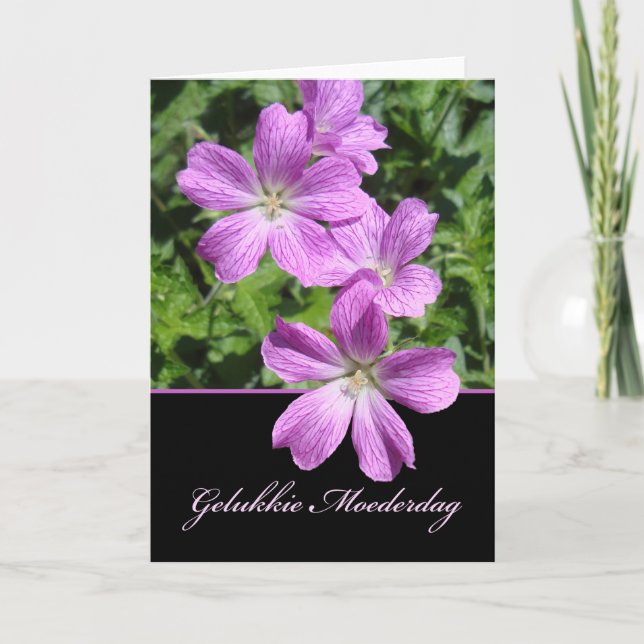 Tarjeta Moederdag, Día de la Madre en Holandés, Geranios V (Anverso)