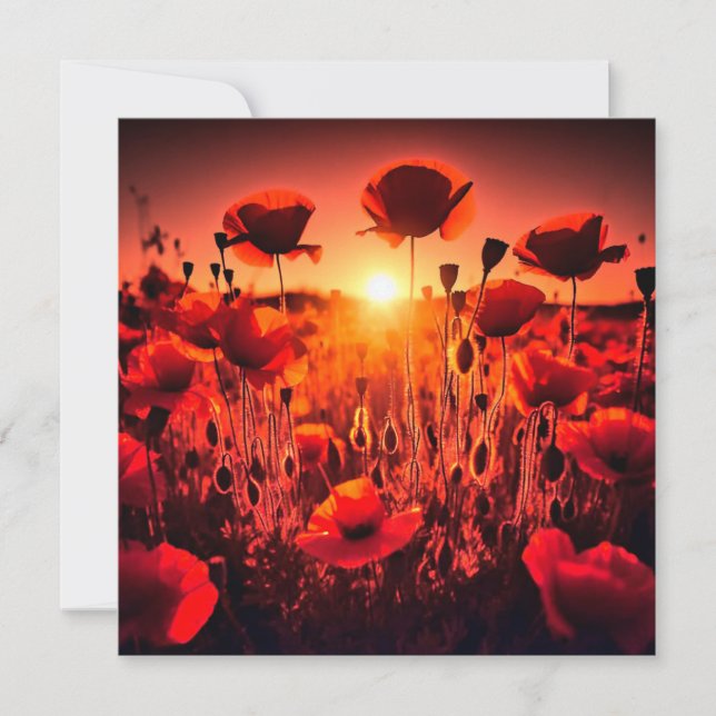 Tarjeta Mohn im Gegenlicht (Anverso)