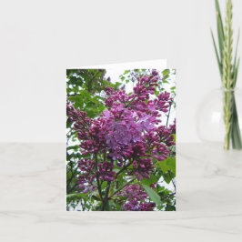 Tarjeta "Moi del chez de las lilas "