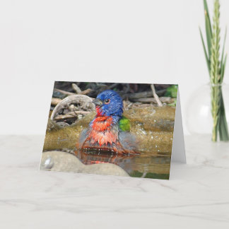 Tarjeta mojada de la pintura