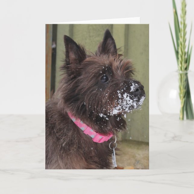 Tarjeta Mojón en nieve (Anverso)