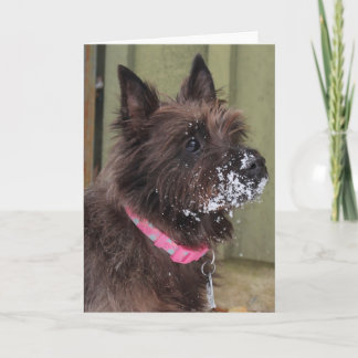 Tarjeta Mojón en nieve