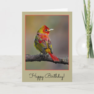 Tarjeta Moldura de Tanager de escarlata - Fotografía origi