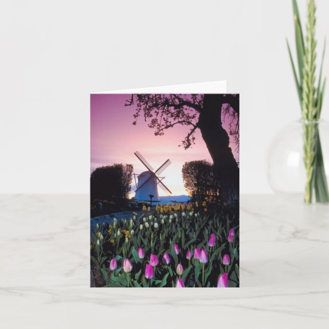 Tarjeta Molino de viento holandés en la puesta del sol en (Anverso)