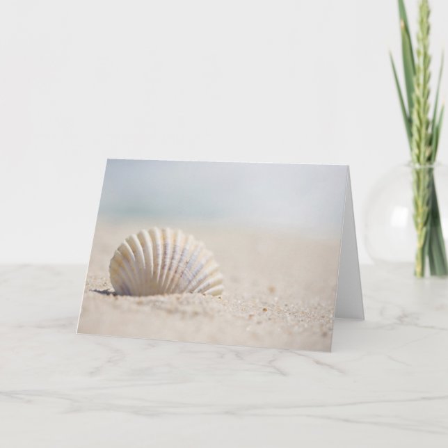 Tarjeta Mollusk Seashell (Anverso)