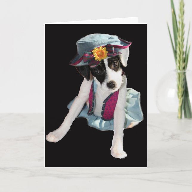 Tarjeta Molly (Anverso)