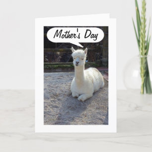 Tarjeta MOM-LLAMA dice FELIZ DÍA DE LAS MADRES=MAMÁ INCREÍ