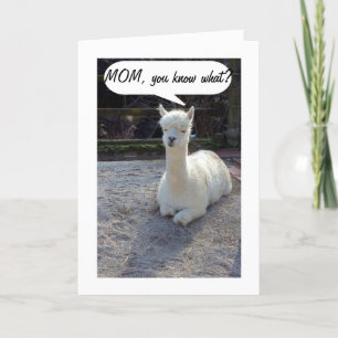 TARJETA MOM-LLAMA DICE QUE NADIE TIENE UN MEJOR GUSTO QUE 