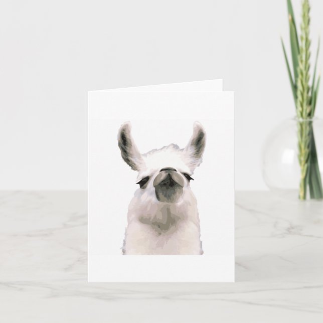 Tarjeta Moma Llama (Anverso)