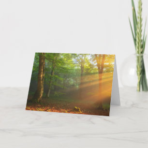 Tarjeta Momento de oro de luz