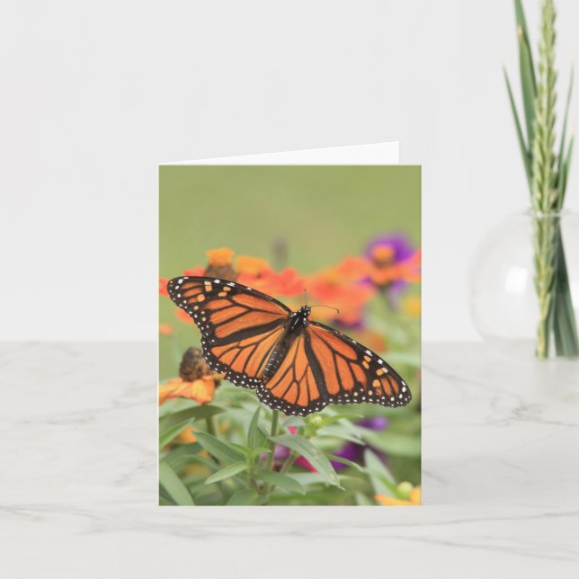 Tarjeta Monarca (Anverso)