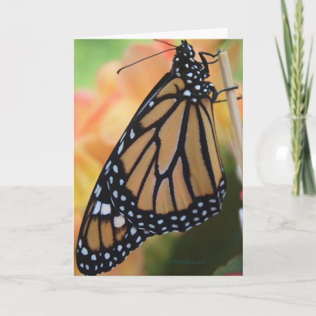 Tarjeta Monarca (Anverso)