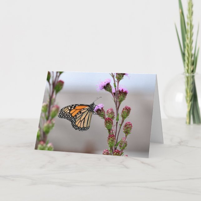 Tarjeta Monarca (Anverso)