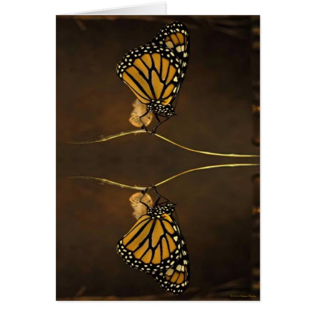 Tarjeta monarca (Frente)