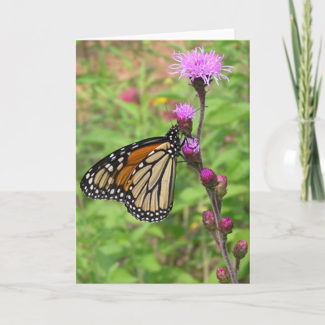 Tarjeta Monarca/Liatris (Anverso)