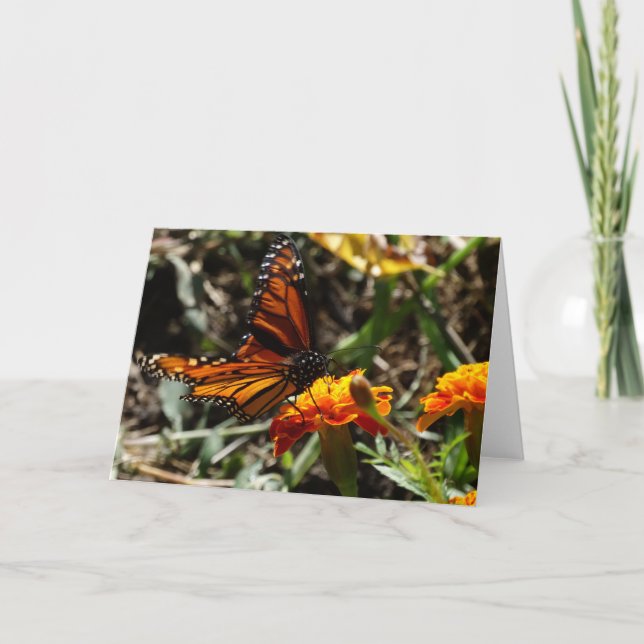 Tarjeta Monarca y maravilla (Anverso)