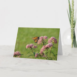 Tarjeta Monarca y Milkweed, cumpleaños