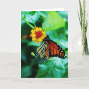 Tarjeta Monarch Butfly Card