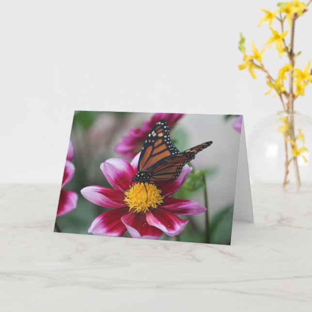 Tarjeta Monarch Butterfly on Deep Pink Dahlia Photo Blank (flor amarilla)