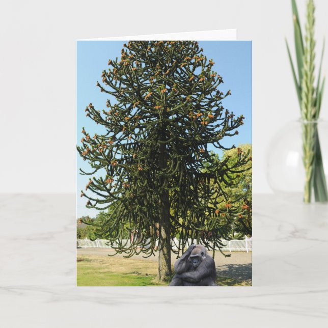 Tarjeta Monkey Puzzle & Puzzled Gorilla. (Anverso)