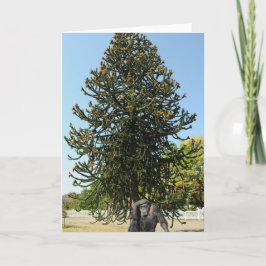 Tarjeta Monkey Puzzle & Puzzled Gorilla.