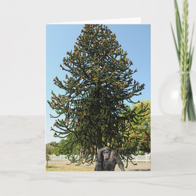 Tarjeta Monkey Puzzle & Puzzled Gorilla. (Anverso)