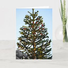 Tarjeta Monkey Puzzled.