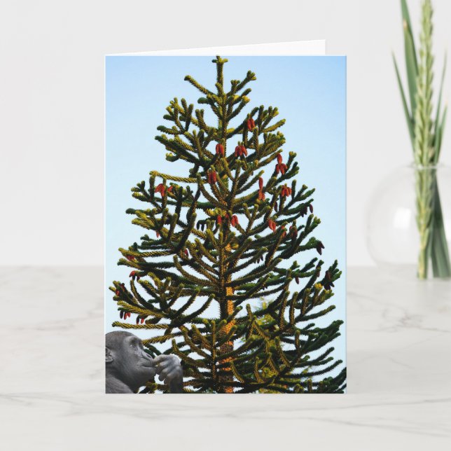 Tarjeta Monkey Puzzled. (Anverso)