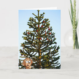 Tarjeta Monkey Puzzled.