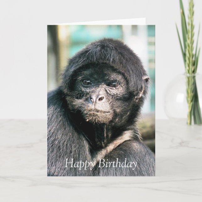 TARJETA MONKEYS (Anverso)