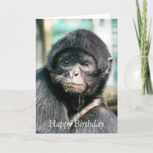 TARJETA MONKEYS