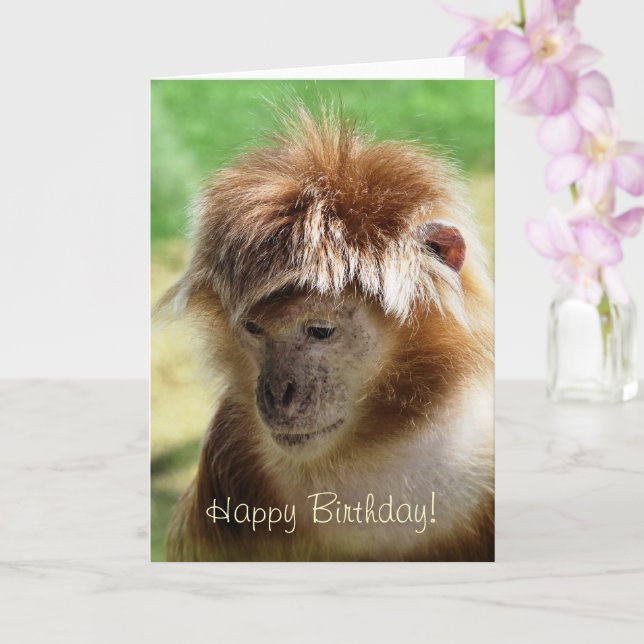 TARJETA MONKEYS (Orquídea)