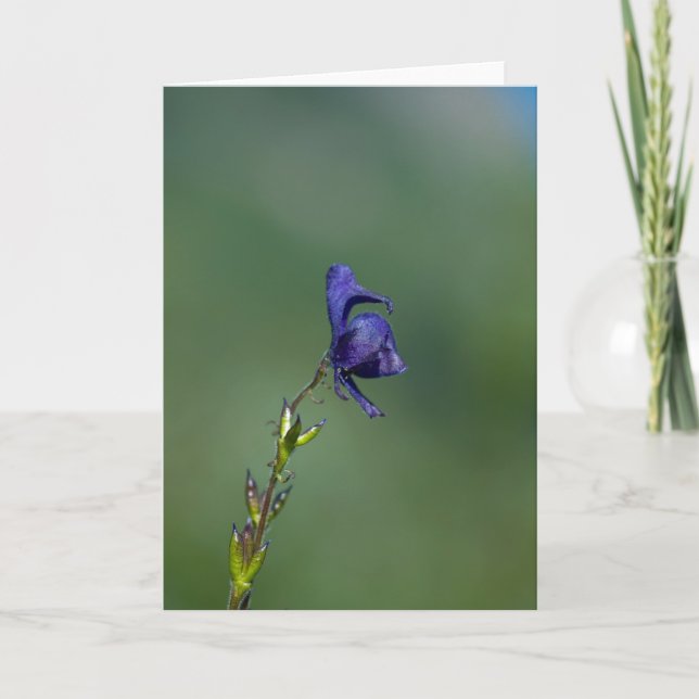 Tarjeta Monk'shood1 (Anverso)