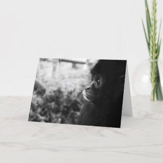 Tarjeta Mono