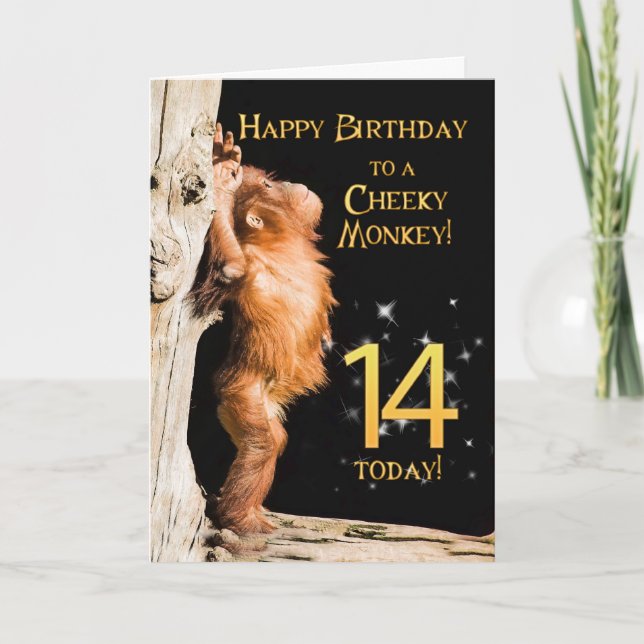 Tarjeta Mono Cheeky edad 14 (Anverso)