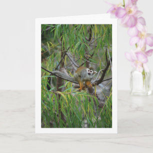 Tarjeta Mono de árbol