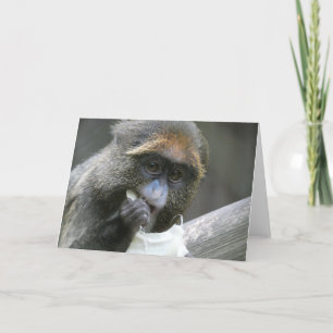 Tarjeta Mono de brazza