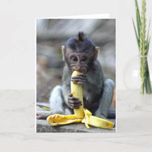 Tarjeta Mono macaco bebé lindo disfrutando plátano