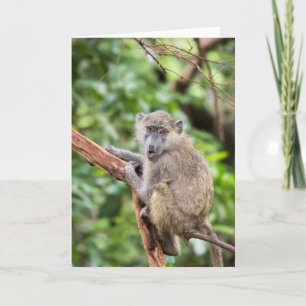 Tarjeta Mono sorprendido o chocado del babuino en árbol