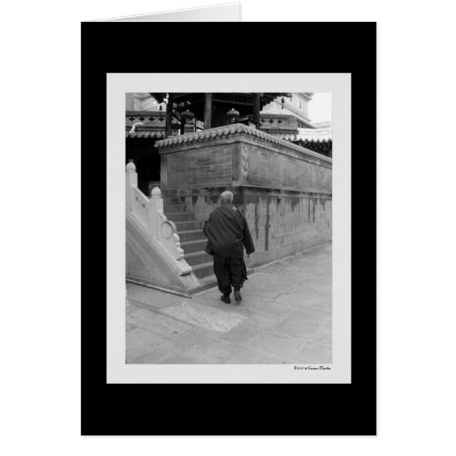 Tarjeta monocasco de Lama (Frente)