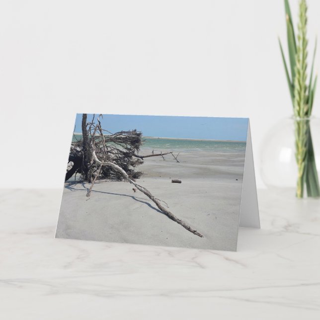 Tarjeta Monomoy National Wildlife Refuge in Cape Cod (Anverso)