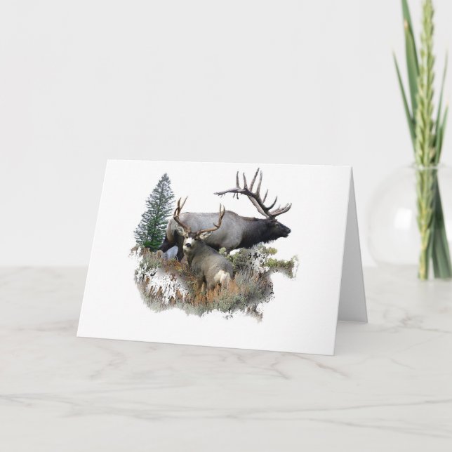 Tarjeta Monster buck (Anverso)