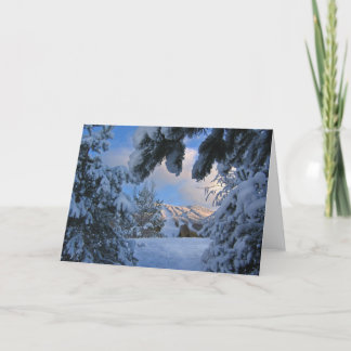 Tarjeta Montaña de Burke