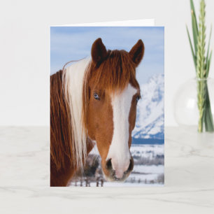 Tarjeta Montaña de caballos de Pinto Moran en invierno